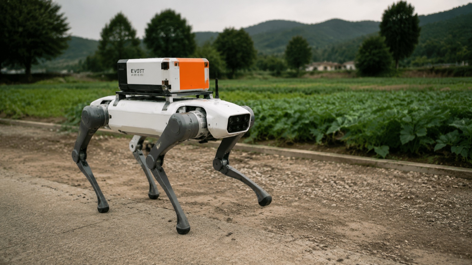 Field & Logistics Quadruped Robot