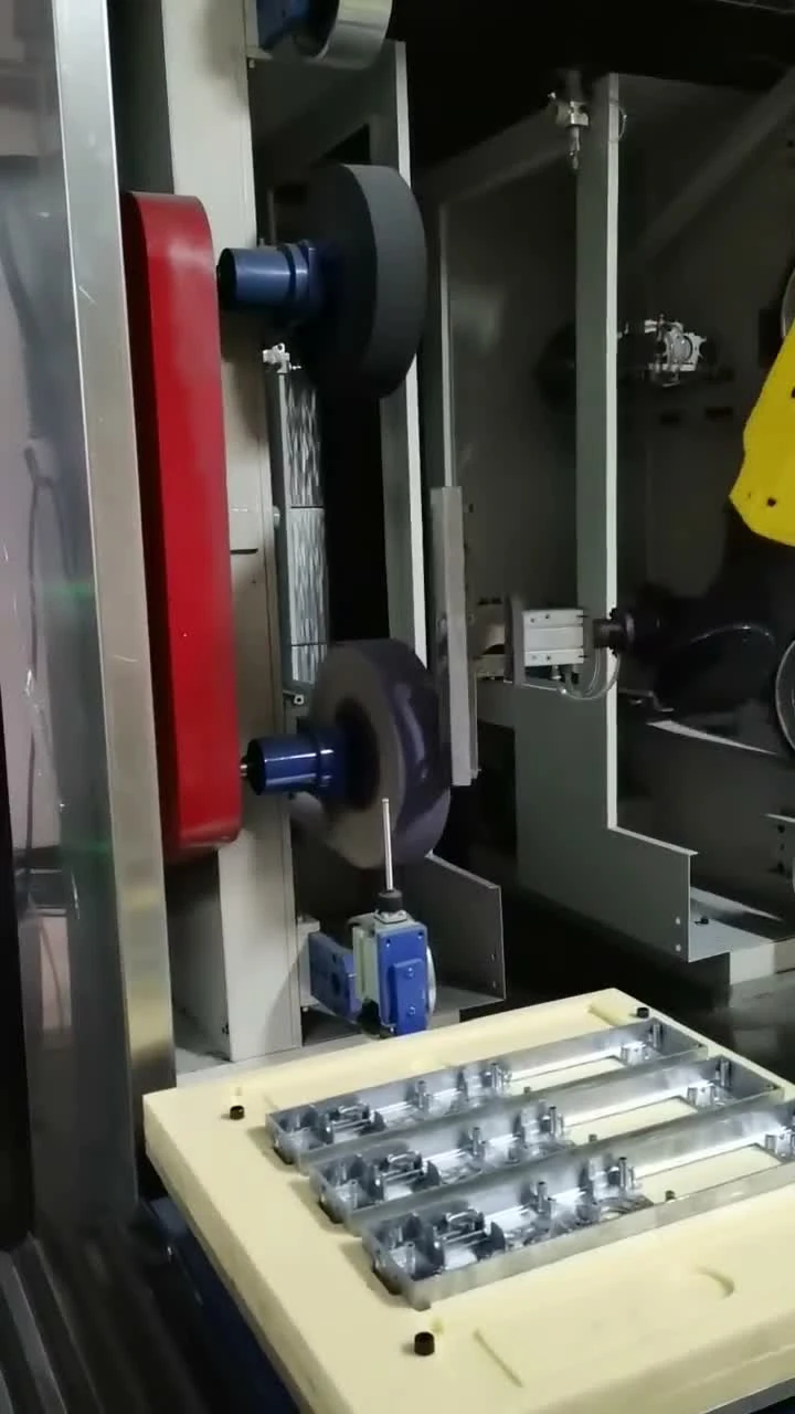 Enclosed finishing area with a belt assembly, tray and probe-like component