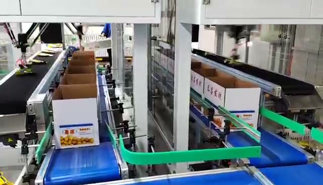 Two delta mechanisms operate above a small-pack conveyor and open-case area.