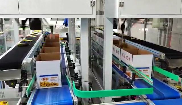 The mechanisms move toward the open-carton area during a packing sequence.